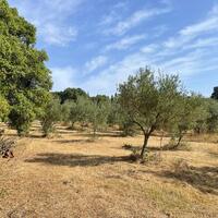 Island in Greece, Ionian Islands, Corfu, 27750 sq.m.