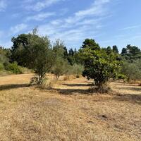 Island in Greece, Ionian Islands, Corfu, 27750 sq.m.