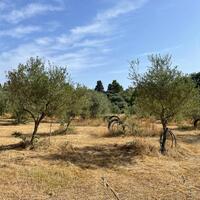 Island in Greece, Ionian Islands, Corfu, 27750 sq.m.
