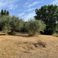 Island in Greece, Ionian Islands, Corfu, 27750 sq.m.