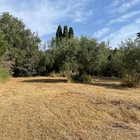 Island in Greece, Ionian Islands, Corfu, 27750 sq.m.