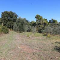 Island in Greece, Ionian Islands, Corfu, 27750 sq.m.
