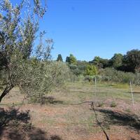 Island in Greece, Ionian Islands, Corfu, 27750 sq.m.