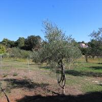 Island in Greece, Ionian Islands, Corfu, 27750 sq.m.