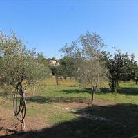 Island in Greece, Ionian Islands, Corfu, 27750 sq.m.