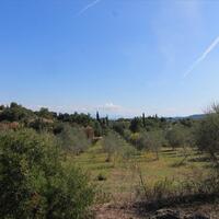 Island in Greece, Ionian Islands, Corfu, 27750 sq.m.