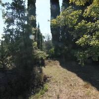 Island in Greece, Ionian Islands, Corfu, 27750 sq.m.