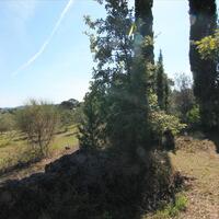 Island in Greece, Ionian Islands, Corfu, 27750 sq.m.