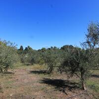 Island in Greece, Ionian Islands, Corfu, 27750 sq.m.