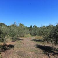 Island in Greece, Ionian Islands, Corfu, 27750 sq.m.
