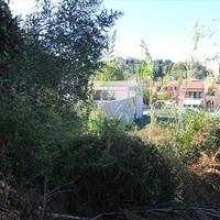 Island in Greece, Ionian Islands, Corfu, 1500 sq.m.