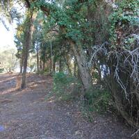 Island in Greece, Ionian Islands, Corfu, 1500 sq.m.