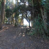 Island in Greece, Ionian Islands, Corfu, 1500 sq.m.