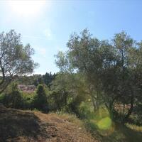 Island in Greece, Ionian Islands, Corfu, 1500 sq.m.