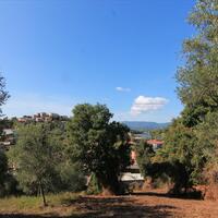 Island in Greece, Ionian Islands, Corfu, 1500 sq.m.
