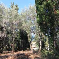 Island in Greece, Ionian Islands, Corfu, 1500 sq.m.