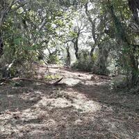 Island in Greece, Ionian Islands, Corfu, 6000 sq.m.
