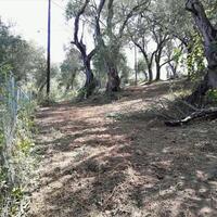Island in Greece, Ionian Islands, Corfu, 6000 sq.m.