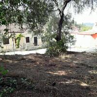 Island in Greece, Ionian Islands, Corfu, 6000 sq.m.