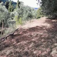 Island in Greece, Ionian Islands, Corfu, 6000 sq.m.