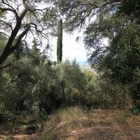 Island in Greece, Ionian Islands, Corfu, 5000 sq.m.