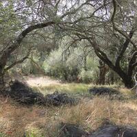 Island in Greece, Ionian Islands, Corfu, 5000 sq.m.