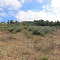 Island in Greece, Ionian Islands, Corfu, 15000 sq.m.