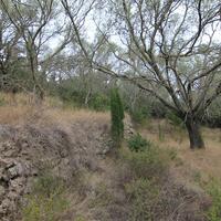 Island in Greece, Ionian Islands, Corfu, 3000 sq.m.