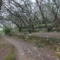Island in Greece, Ionian Islands, Corfu, 3000 sq.m.