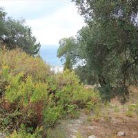 Island in Greece, Ionian Islands, Corfu, 2800 sq.m.