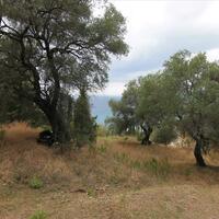 Island in Greece, Ionian Islands, Corfu, 2800 sq.m.