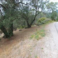 Island in Greece, Ionian Islands, Corfu, 2800 sq.m.
