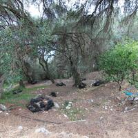 Island in Greece, Ionian Islands, Corfu, 2800 sq.m.