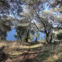 Island in Greece, Ionian Islands, Corfu, 4300 sq.m.
