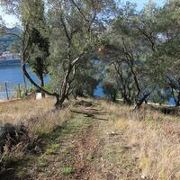 Island in Greece, Ionian Islands, Corfu, 4300 sq.m.