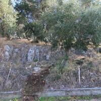 Island in Greece, Ionian Islands, Corfu, 4300 sq.m.