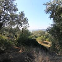 Остров в Греции, Ионические острова, Корфу, 4576 кв.м.