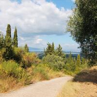 Island in Greece, Ionian Islands, Corfu, 3800 sq.m.