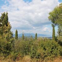 Island in Greece, Ionian Islands, Corfu, 3800 sq.m.