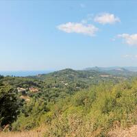 Island in Greece, Ionian Islands, Corfu, 3800 sq.m.