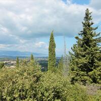 Island in Greece, Ionian Islands, Corfu, 3800 sq.m.