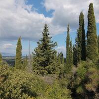 Island in Greece, Ionian Islands, Corfu, 3800 sq.m.