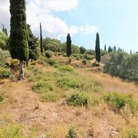 Island in Greece, Ionian Islands, Corfu, 3800 sq.m.
