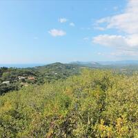 Island in Greece, Ionian Islands, Corfu, 3800 sq.m.