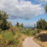 Island in Greece, Ionian Islands, Corfu, 3800 sq.m.