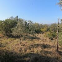 Island in Greece, Ionian Islands, Corfu, 5000 sq.m.