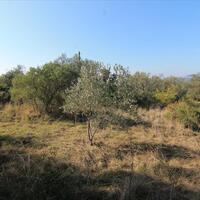 Island in Greece, Ionian Islands, Corfu, 5000 sq.m.
