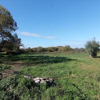 Island in Greece, Ionian Islands, Corfu, 5000 sq.m.