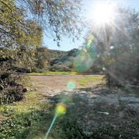 Island in Greece, Ionian Islands, Corfu, 5000 sq.m.
