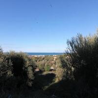 Island in Greece, Ionian Islands, Corfu, 41000 sq.m.
